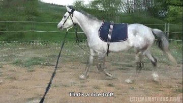 giovane donna selvaggiamente scopata animale umano